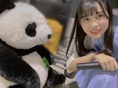 森本茉莉です。ちょっといいですか？のサムネイル