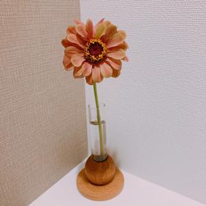 信じて良いものなのかと疑うほどのサムネイル