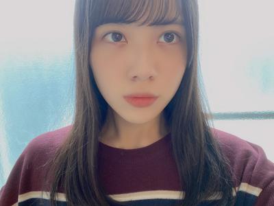 この時期ならではの癒しを見つけよう。のサムネイル