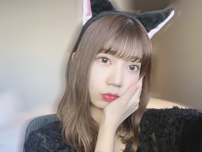 ねこ - 画像1