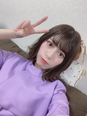 🐴 - 画像2