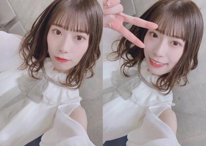🕊のサムネイル