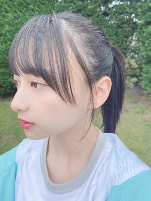 げっかんやんまが - 画像2
