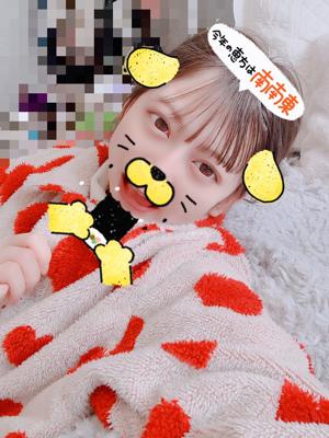 🧸 - 画像2
