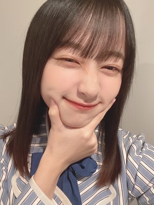おひさまとかげ - 画像2
