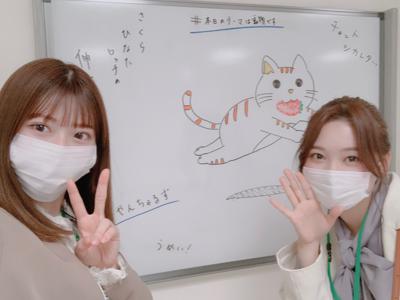 🐱 - 画像3