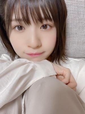 綿100%のサムネイル