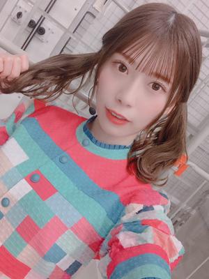 🌴のサムネイル