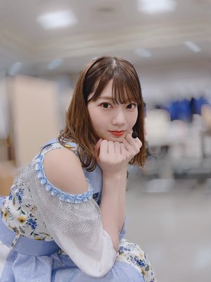 🦭のサムネイル