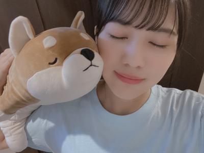 新たな仲間が加わりましたのサムネイル