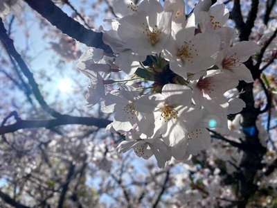 ふくざつなたんじゅんな - 画像2