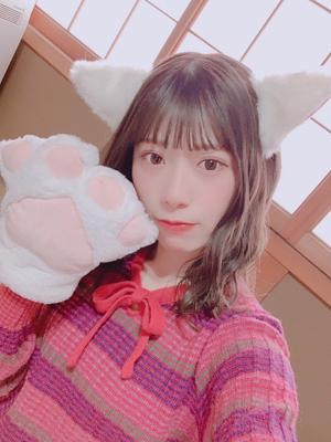 🐱のサムネイル