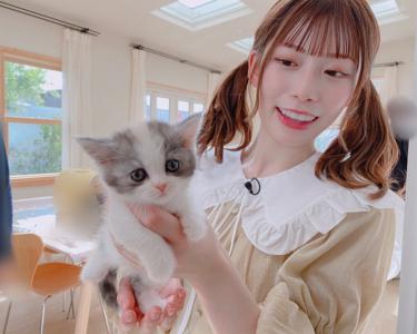 🐱のサムネイル