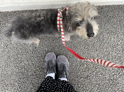肘、手首、肩と腰骨、そして頸椎 - 画像2