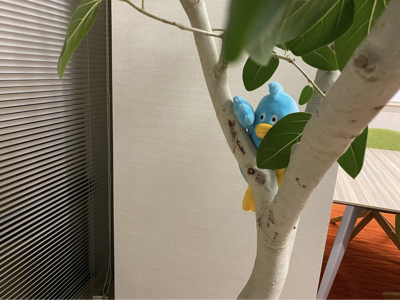 もーそーのサムネイル