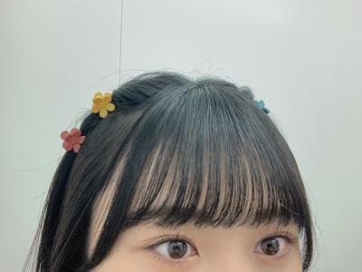シフォンのサムネイル