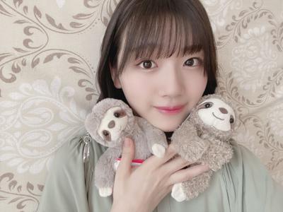なまけもの🦥のサムネイル
