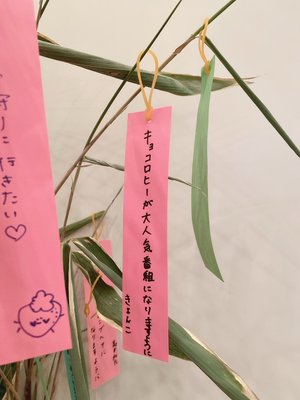 きれはし - 画像3