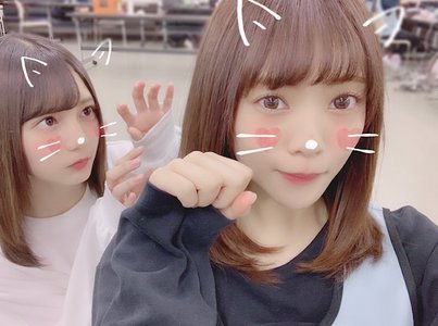 ぬいぐるみの並べ方 - 画像3