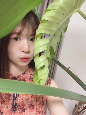 最後の乾杯のサムネイル