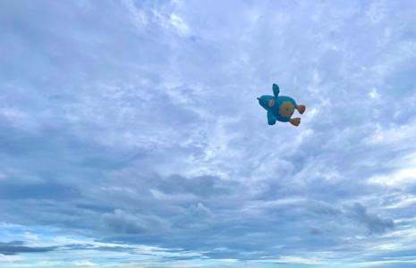 まつりだまつりだのサムネイル