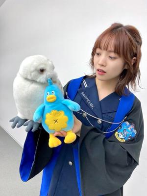 しわすこわいのサムネイル