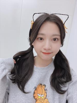 おやすみんごりら🦧のサムネイル