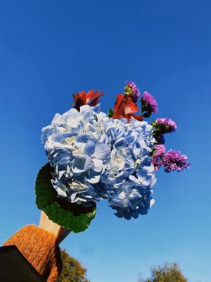 お年玉 - 画像7