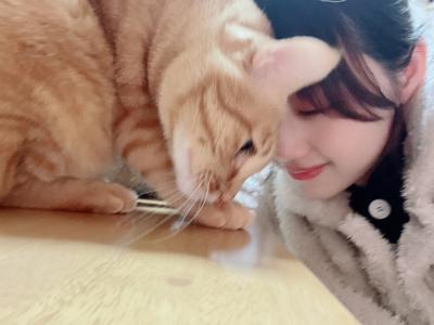 大好きな子たち🐈のサムネイル