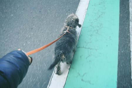 てけてけありく - 画像3