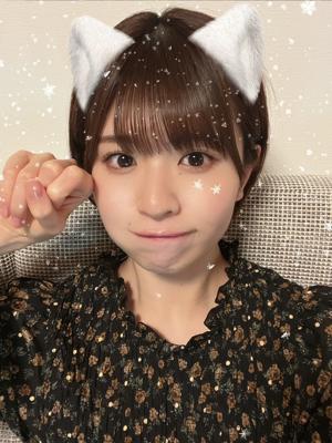 猫の日のサムネイル