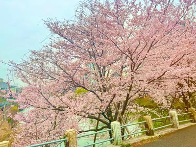 約束の卵で、待っています🥚のサムネイル