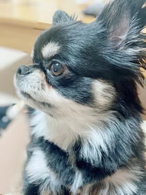 もうすぐ始まります！！のサムネイル