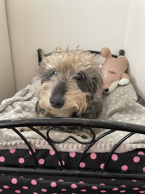ひらいたほうがかわいかったのサムネイル