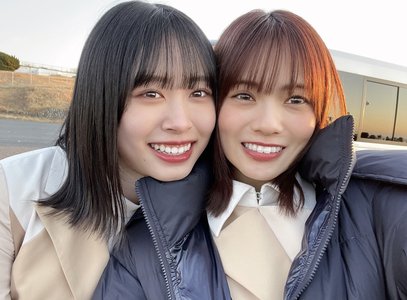松の木が枯れる前にのサムネイル