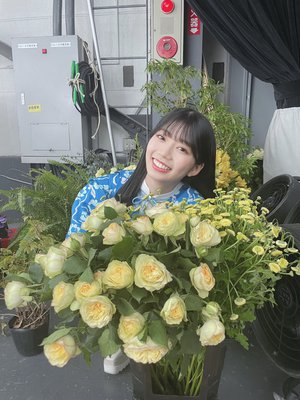🌼のサムネイル