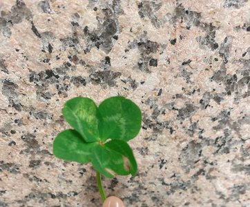 皆さんGWいかがお過ごしでしょうか？私のGWはGo Wrong。まぁ、そんな時もありますよね‼︎ - 画像2