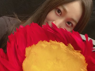 🌺🌺🌺🌺🌺🌺🌺🌺🌺 - 画像4