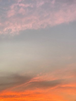 うしおさりななはちー！　めいめいが考えてくれてお気に入りなのになかなか、いまだ☺︎！というタイミングがないので今日使ってみました。　そんなめいめいからこの前いちご貰いました🍓　めいちゃんはえびとか蟹とか海鮮大好きです。お菓子は甘い系よりしょっぱい系。おせんべいとかが好きみたい。…多分ですけどね！！めいめいと話してるとなんだか優しい気持ちになれるんです。ほわーんとしてる。☺️ タイトル長くなったけど本文はそんなに長くないと思うのでぜひ読んでいただけると嬉しいです。 - 画像9