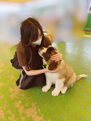 ごほうび☺︎のサムネイル
