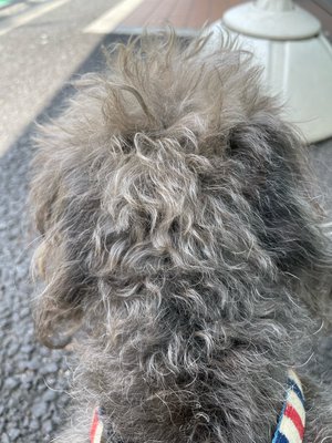 夜ふかしの代償のサムネイル