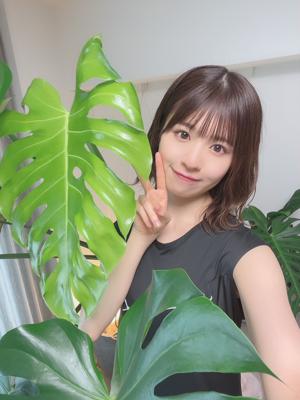 若葉🌿のサムネイル