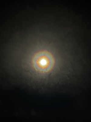 久しぶりのうしお目線👀今日は誰でしょう、、、🙂 - 画像7