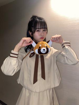 たぬきじゃないよ~のサムネイル