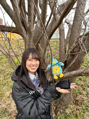 もうすぐ春ですね - 画像6