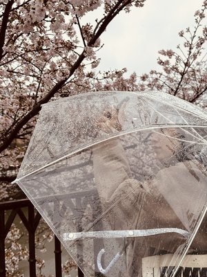 花の華。お昼に失礼します〜 - 画像4