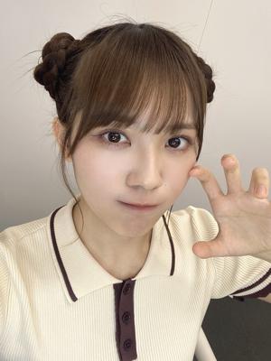 くまさんヘアから飛び出るアホ毛の数は？？のサムネイル