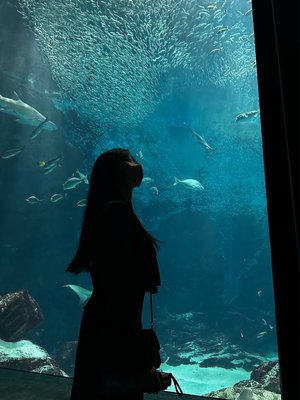 夢を守る。🐬のサムネイル