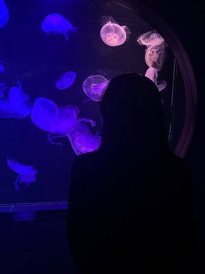 夢を守る。🐬 - 画像9