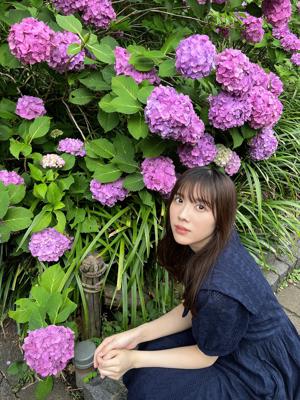 今、紫陽花の写真？？」って思わないでくださいのサムネイル